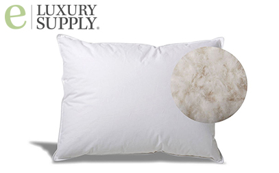 Best Pillow For A Stomach Sleeper Does The Thinnest Always Win