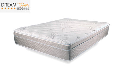 Dreamfoam product image