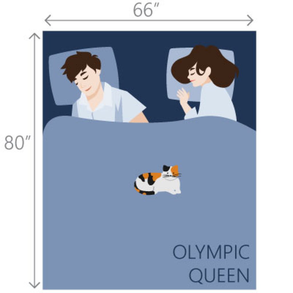 Image showing the size of a Olympic Queen type