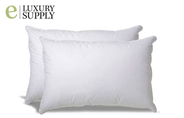 10 Best Pillows For 2020 Feb Update The Definitive Guide And