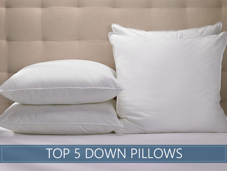 10 Best Pillows To Buy In 2020 For Side Back And Stomach Sleepers