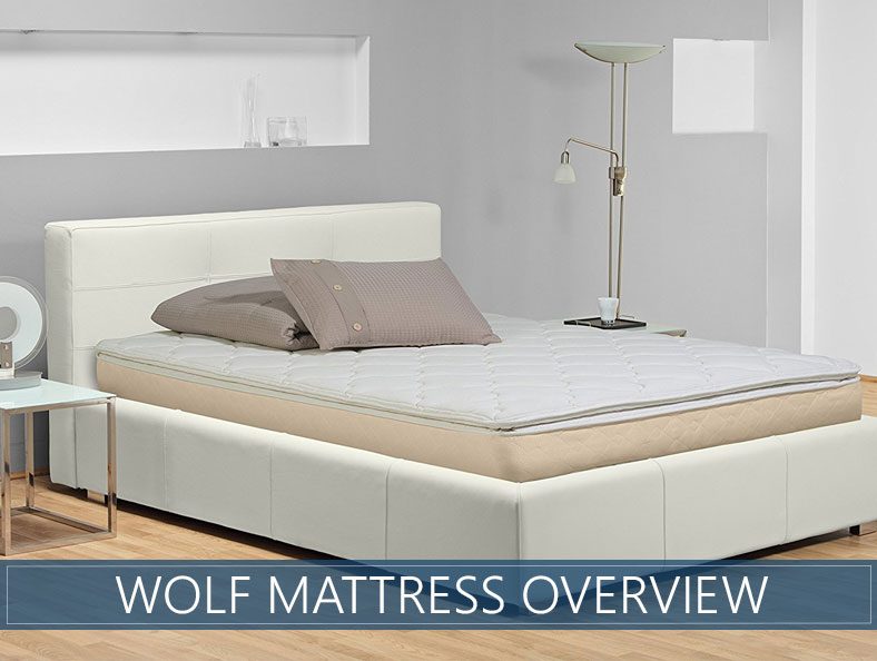 overview of wolf bed