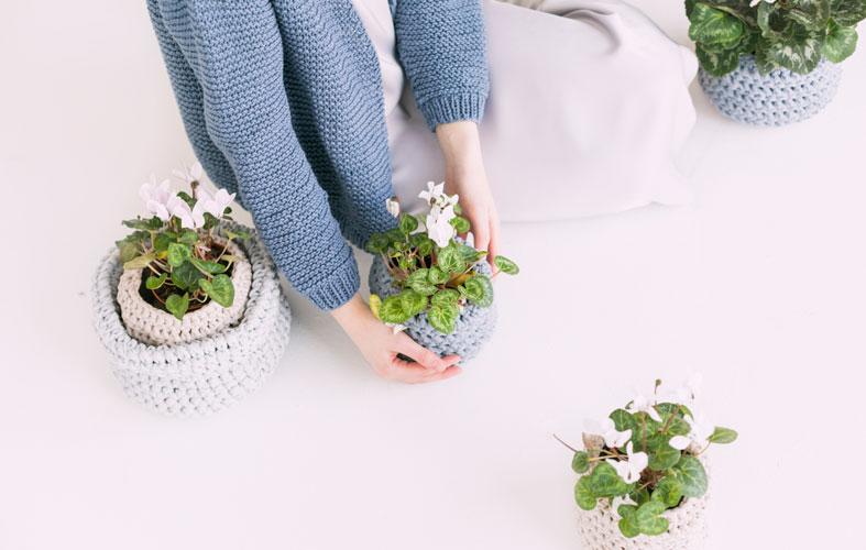 woman-takes-care-of-her-plants woman takes care of her plants