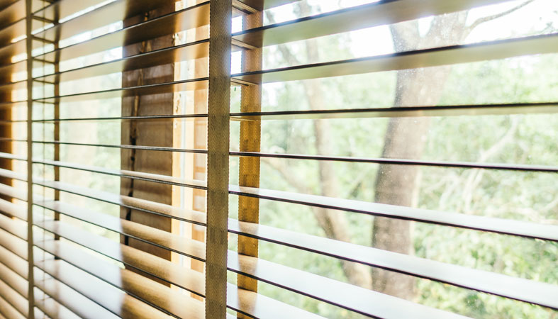 blinds-on-window blinds on window