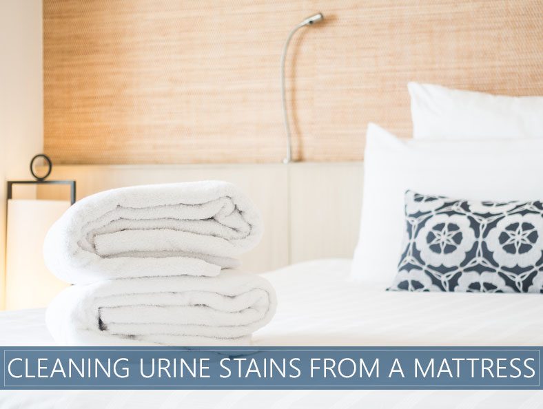 How To Get Urine Out of Mattress - Tips & Tricks