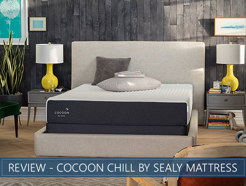 our cocoon chill by sealy overview