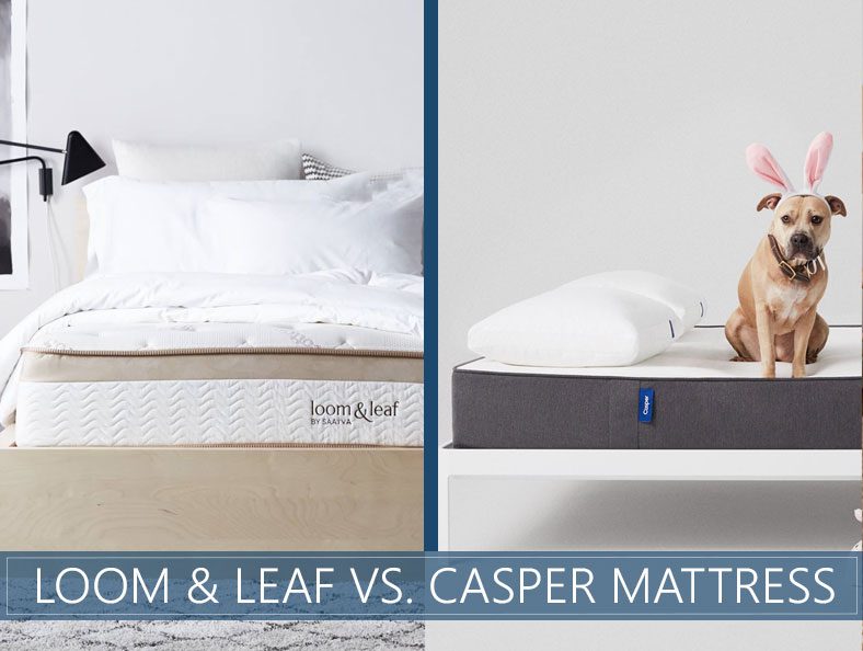Our Loom & Leaf vs. Casper Bed Comparison for 2024