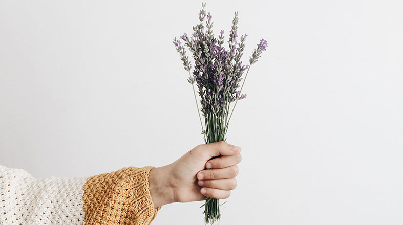 bouquet of lavender