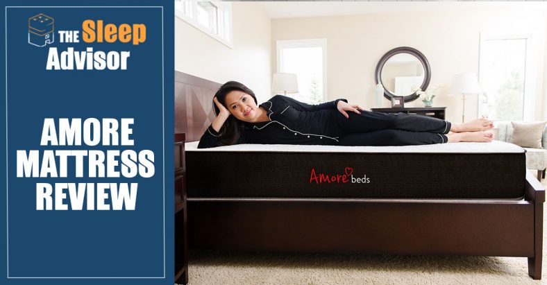 overview of the amore hybrid bed