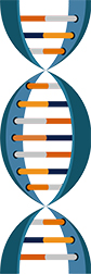 DNA Illustration
