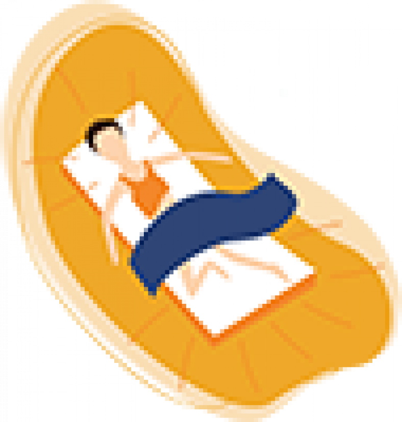 Best Temperature for Sleep 2023 Update I Sleep Advisor