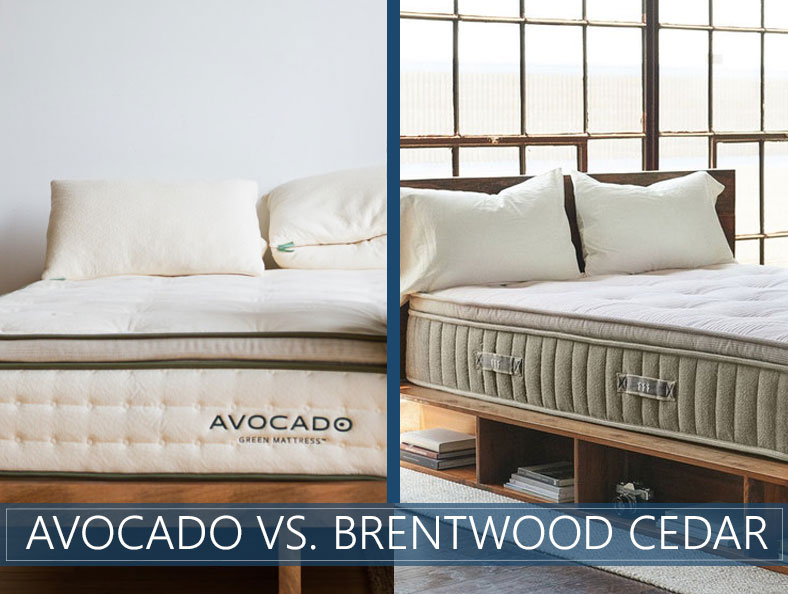 our comparison of avocado and brentwood cedar
