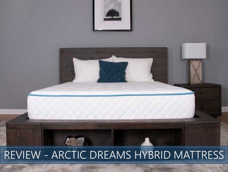 our overview of arctic dreams hybrid