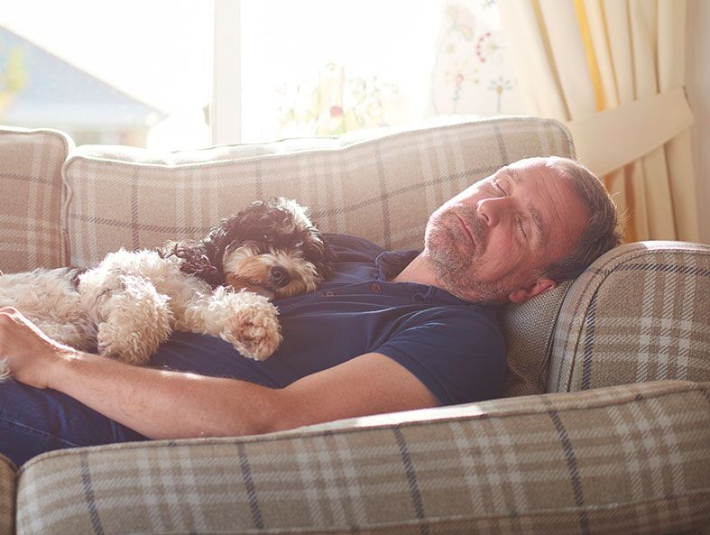 Dog sleeping on man