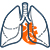 Lungs and Heart Icon
