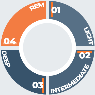 Sleep Cycle Graph