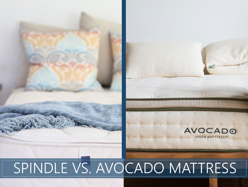 our comparison of spindle and avocado