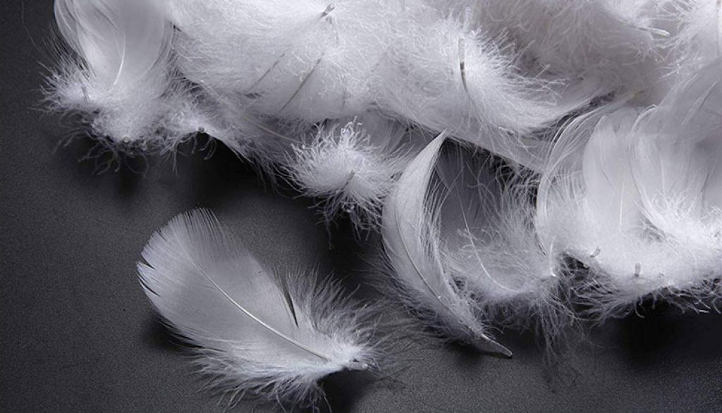Down Pillows vs. Feather Pillows What's the Difference? Sleep Advisor