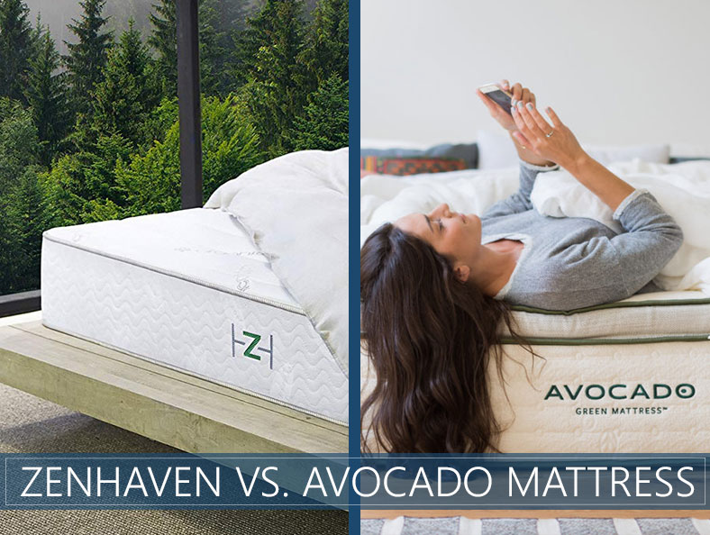 zenhaven versus avocado bed comparison