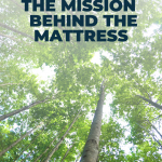 Avocado Green Giving Mission 2