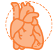 Heart Icon White Background