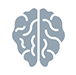 Brain Icon