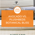 Avocado Vs. Plushbeds