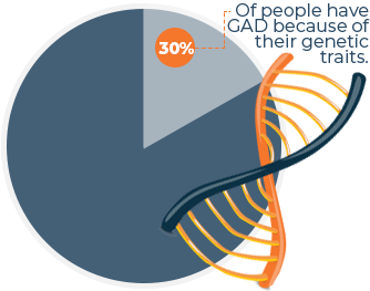 Chart Genetics Affect on GAD