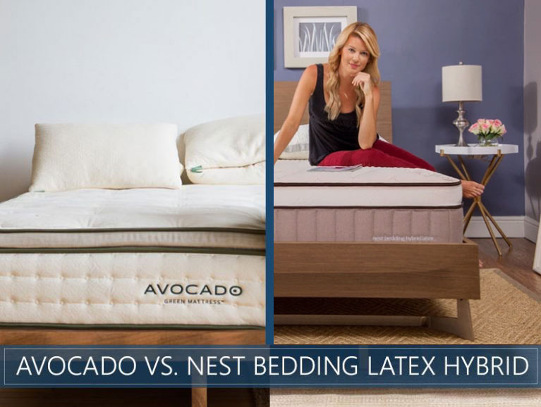 updated avocado and nest hybrid latex image