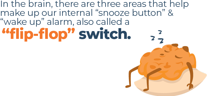 Flip-Flop Switch Brain Activity Quote