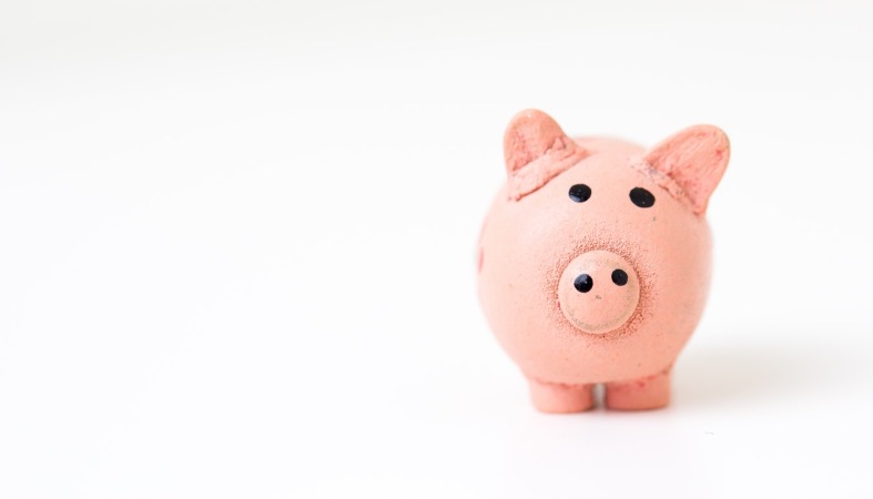 pig money