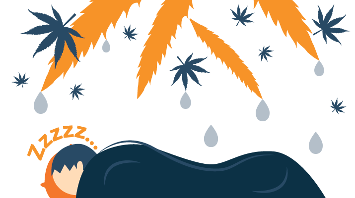 Animation of CBD Oil Drops Falling from Cannabis Leaves Animation of CBD Oil Drops Falling from Cannabis Leaves