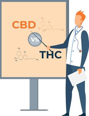 Difference Between CBD and THC Illustration