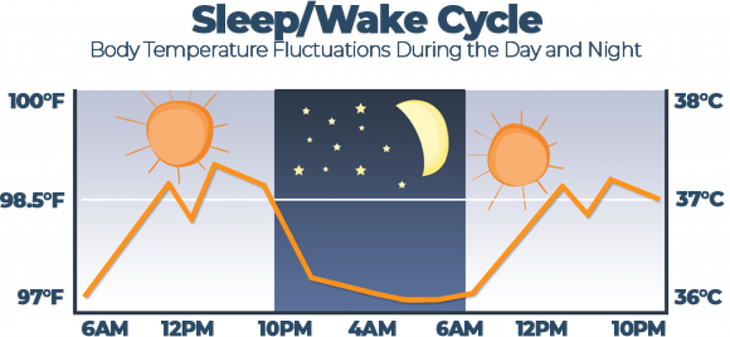 thermoregulation-guide-how-body-temp-regulation-works-during-sleep