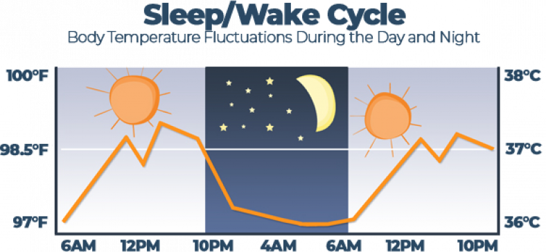 Thermoregulation Guide How Body Temp Regulation Works During Sleep thermoregulation-guide-how-body-temp-regulation-works-during-sleep