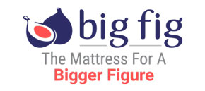 big fig logo