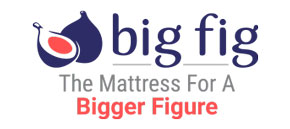 big fig logo big fig logo