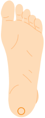 Illustration of a Sole of Foot Point
