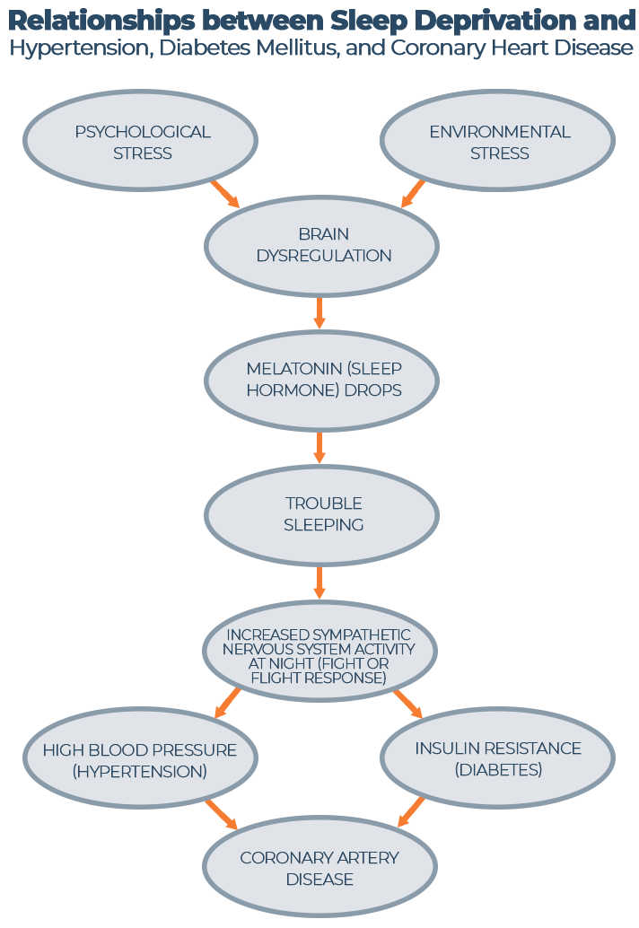Relationship between Sleep Deprivation and Hypertension Diabetes Mellitus and Coronary Heart Disease Graph