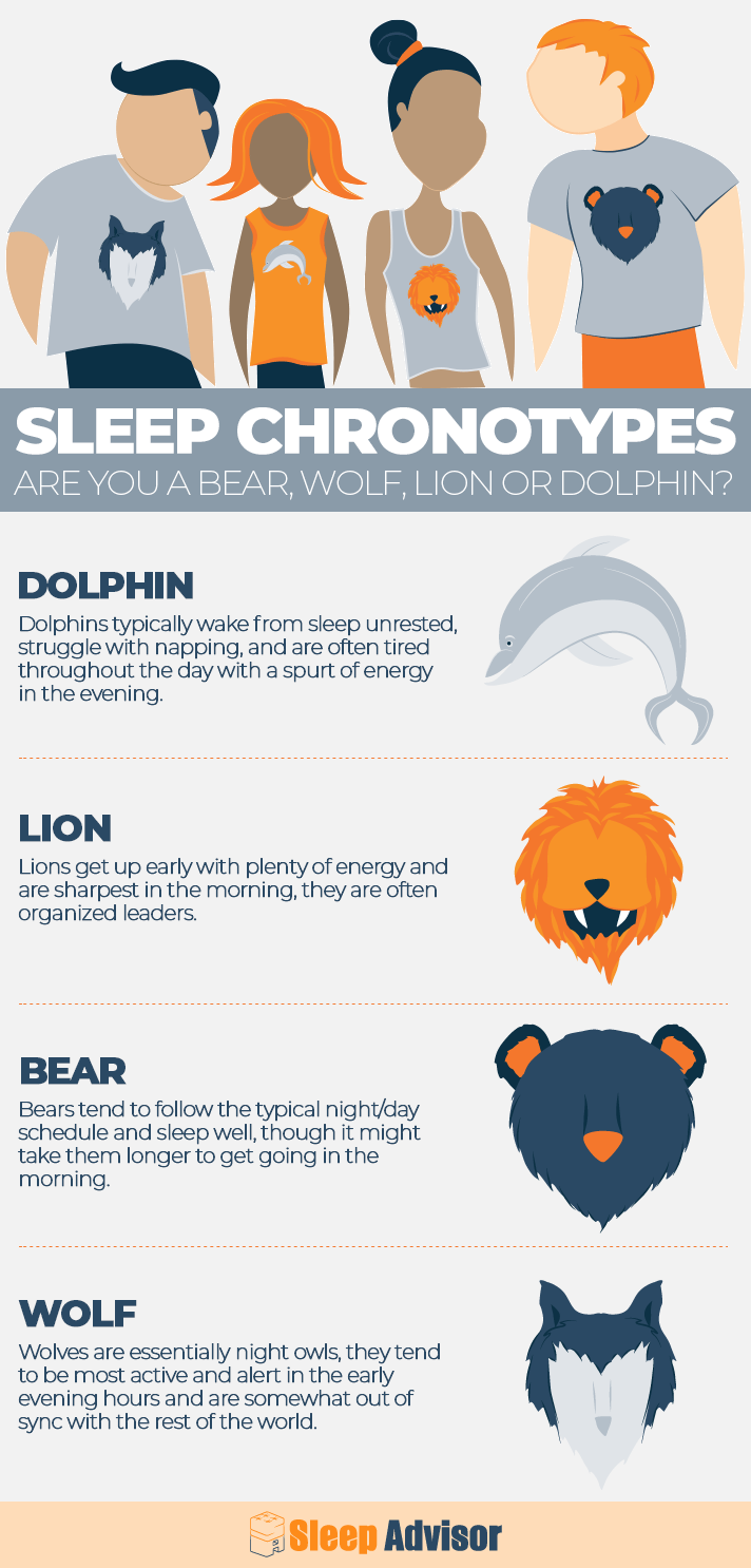 Sleep Chronotypes -<br>Are You a Bear, Wolf, Lion, or Dolphin? 2 Infographic Sleep Chronotypes