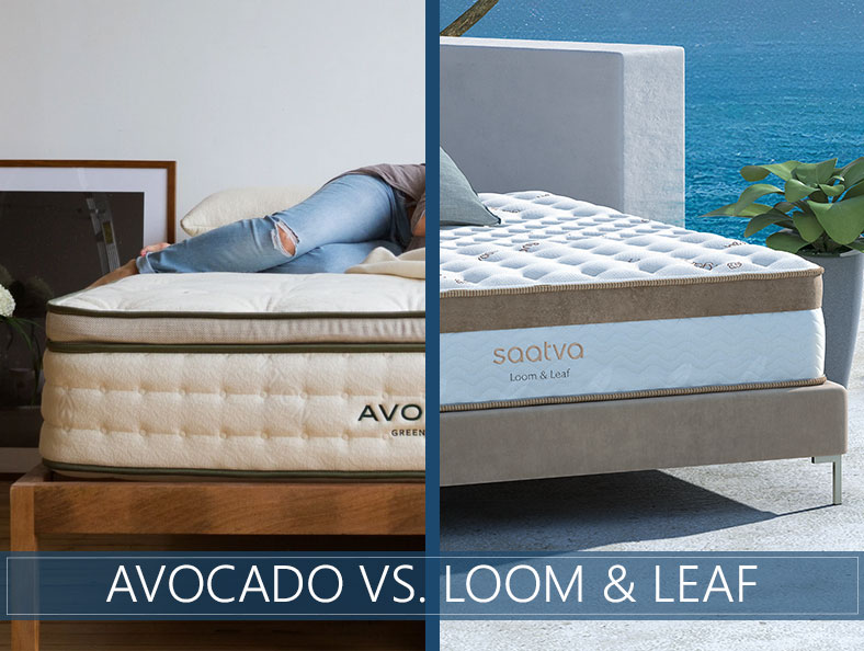 Loom and Leaf vs Avocado Comparison