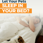 Sleeping with Pets