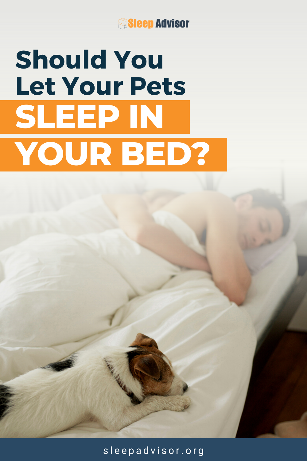 Sleeping with Pets What Does Science Say? Sleep Advisor