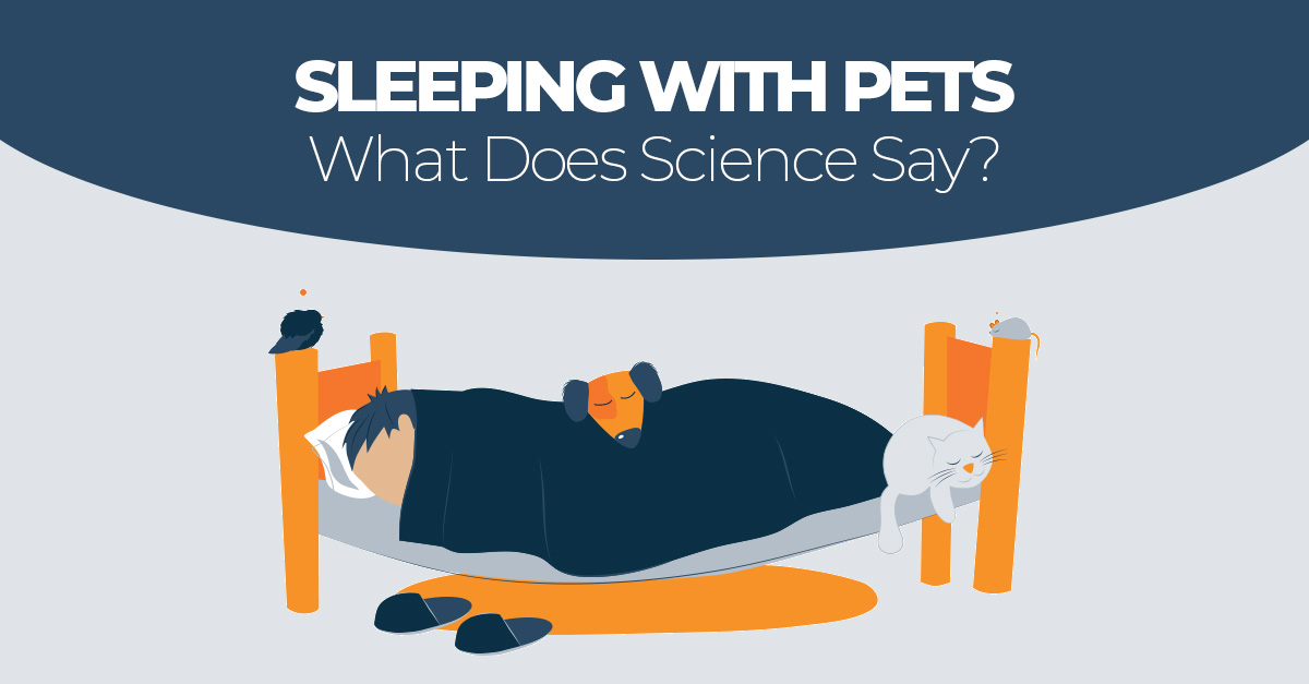 Sleeping with Pets What Does Science Say? Sleep Advisor