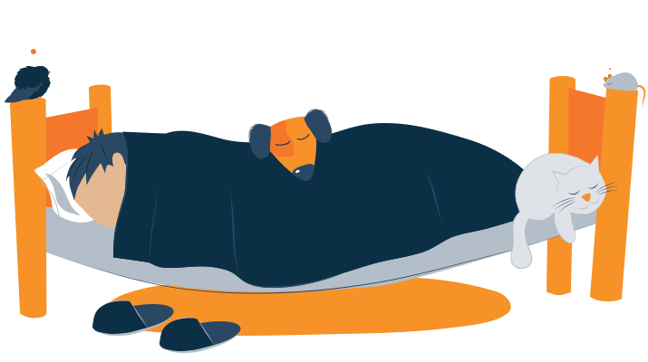 Ngủ cùng thú cưng - Nên hay Không nên? 8 Animation of Pets Sleeping in Man's Bed