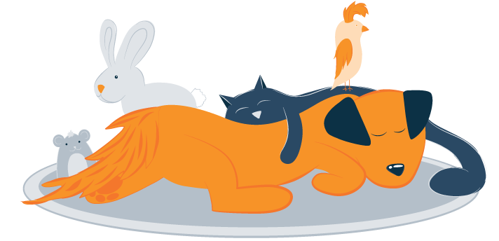 宠物睡在一起的插图