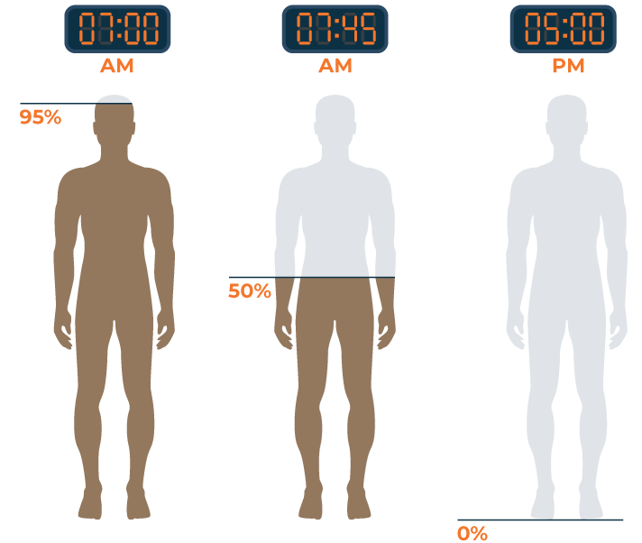 How Long Does Caffeine Stay In Your Body