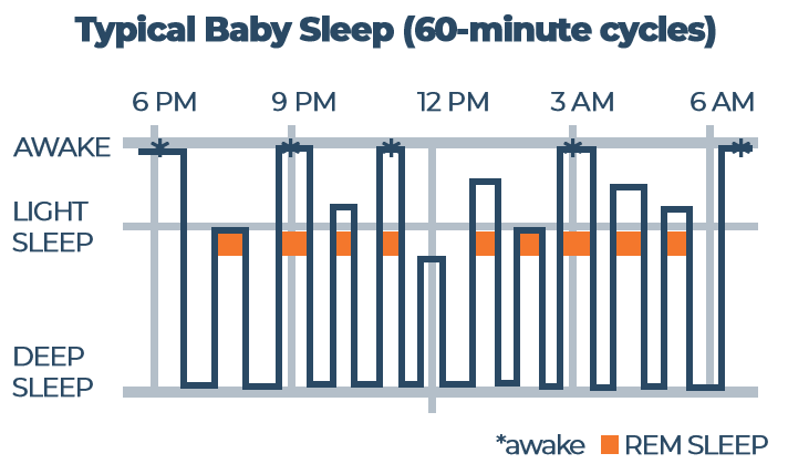 Typical Baby Sleep Graph