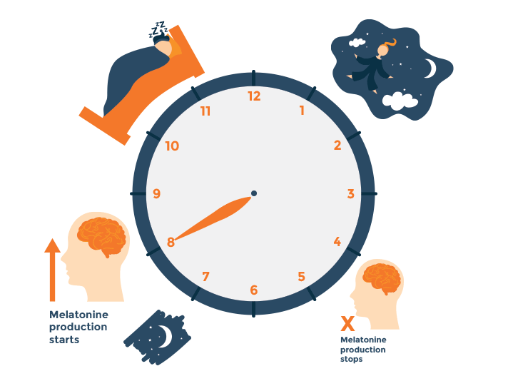 clock animation of sleep cycle