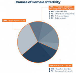Alpha Bites My Advice Alphabites Review Alpha Bites Male Enhancement Gummies Reviews